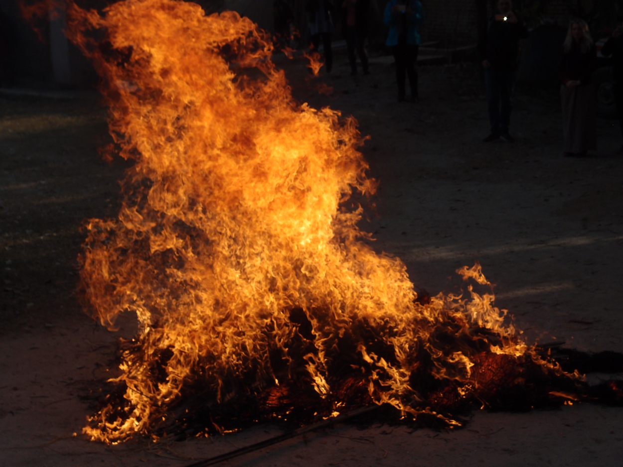 2018-01-15 16 Uhr - Rangjung Yeshe Institute (Foto) 